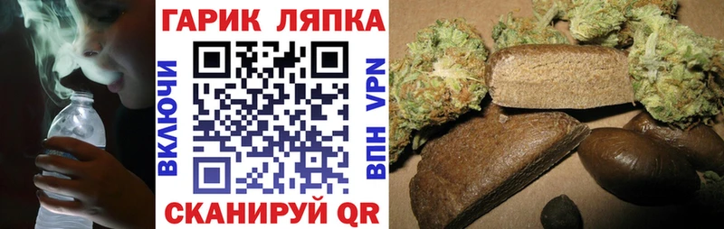 ГАШ Premium  Старица 