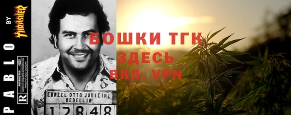 ECSTASY Заводоуковск
