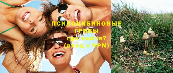 мескалин Заволжье