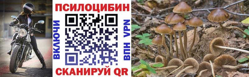 Псилоцибиновые грибы GOLDEN TEACHER Старица